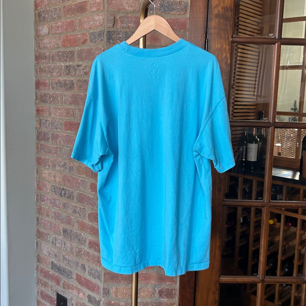 Nike Teal Skateboard Graphic Men's Tee NWOT - Picture 4 of 4
